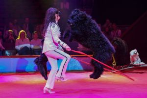 "Tracht & Show" At Circus Krone Munich