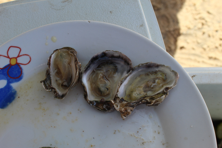 Oysters Ostras