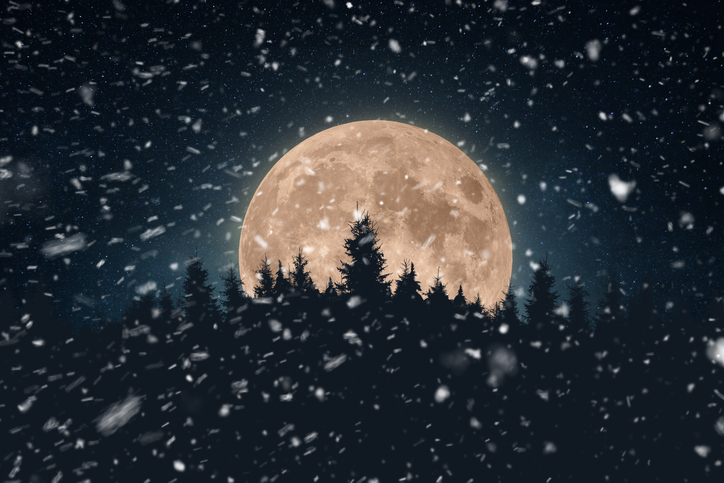Beautiful night forest with stars, full moon and snow. Winter night with full moon. Christmas Eve