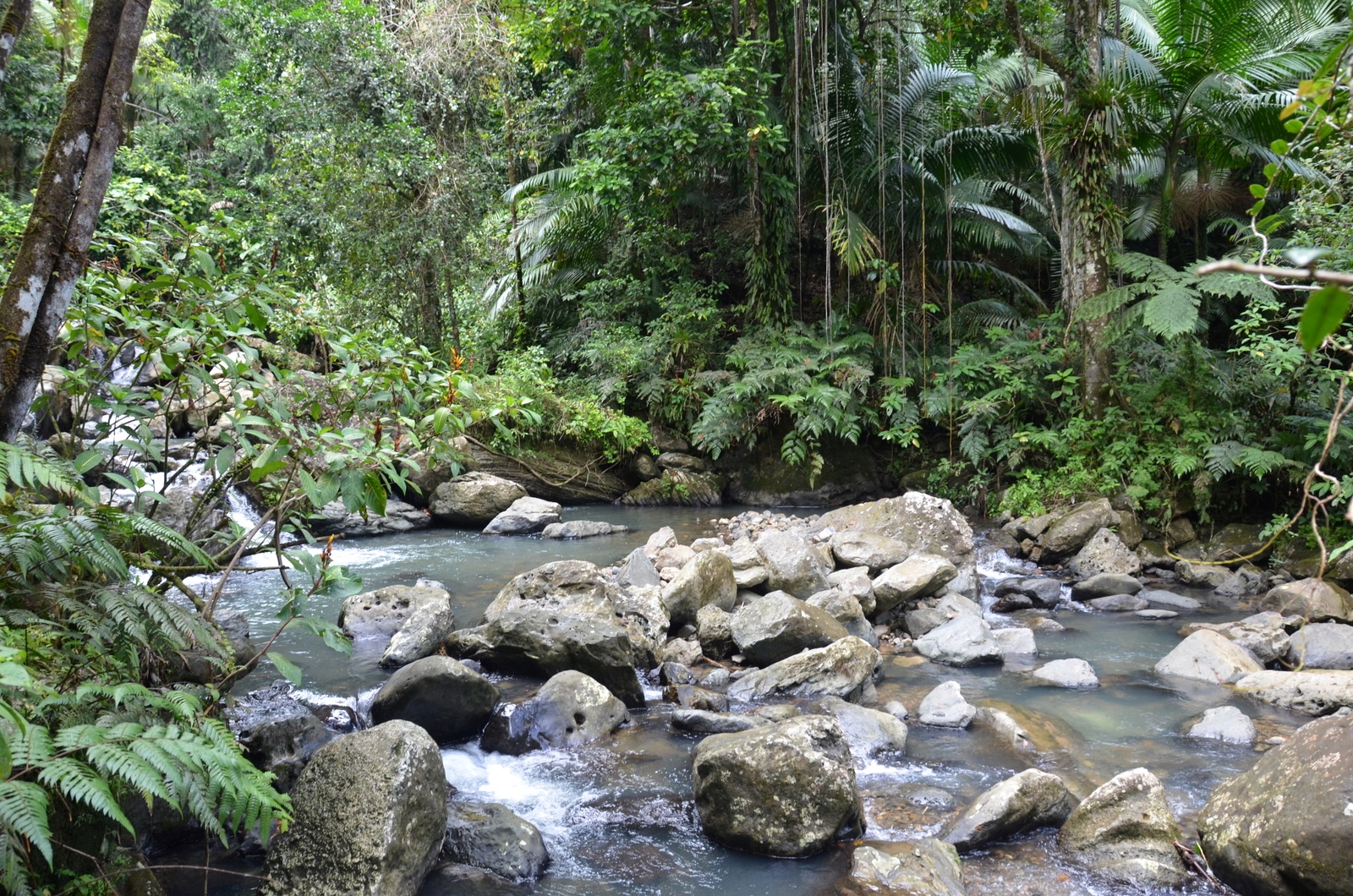 El Yunque