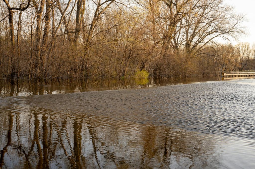 flooded park and trees