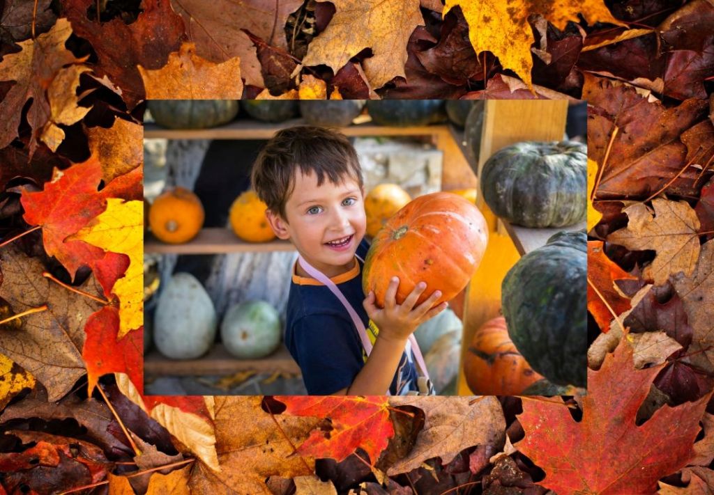 ¡Prepárese para vivir la mejor experiencia de otoño este finde!