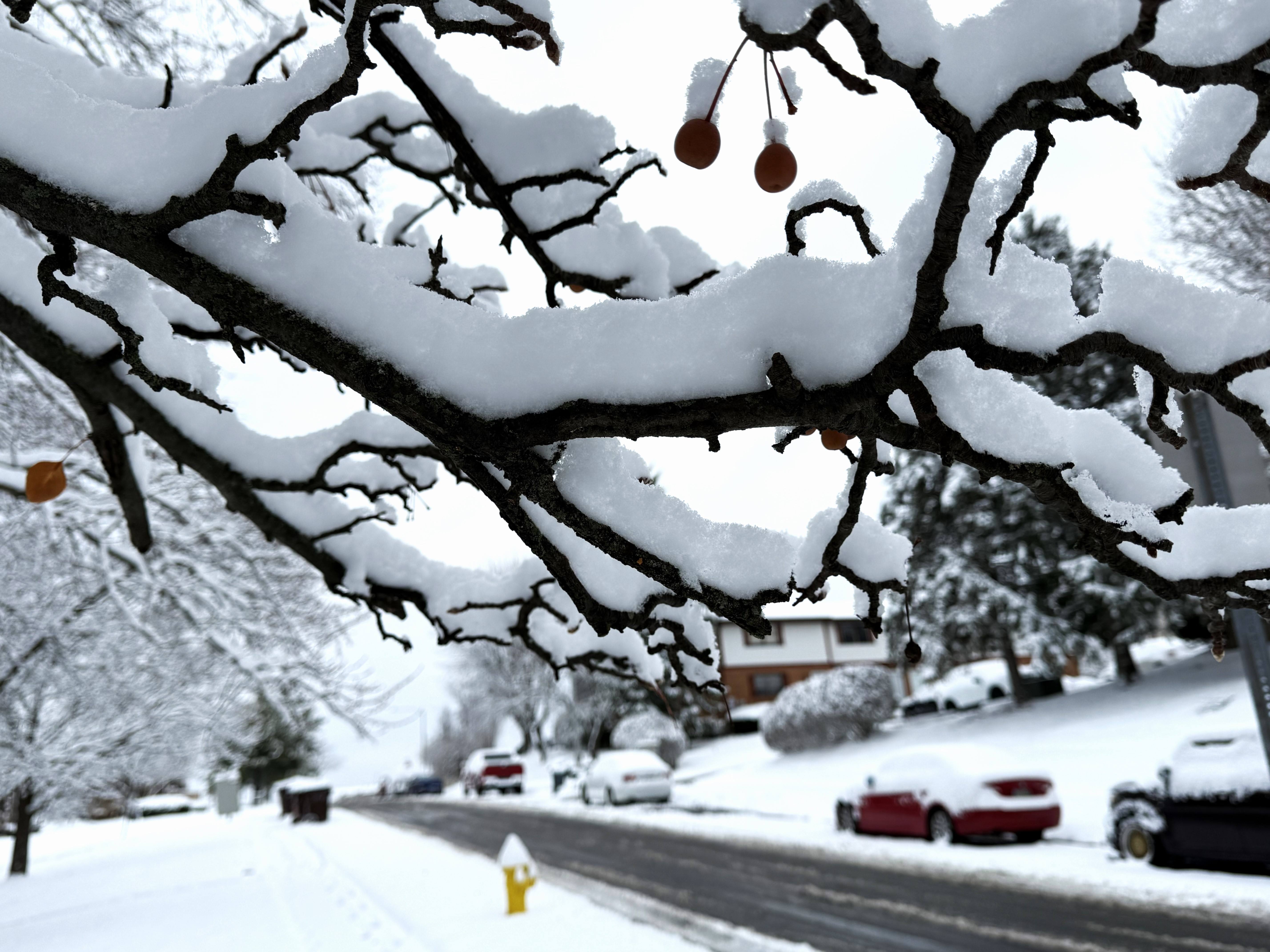 ¿Cómo afectará el centro de Indiana la tormenta invernal?