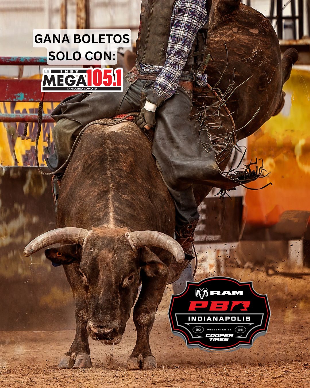 Bull Ride picture MEGA