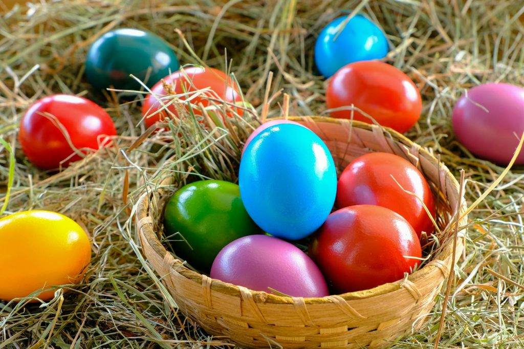 colorful eggs on a nest