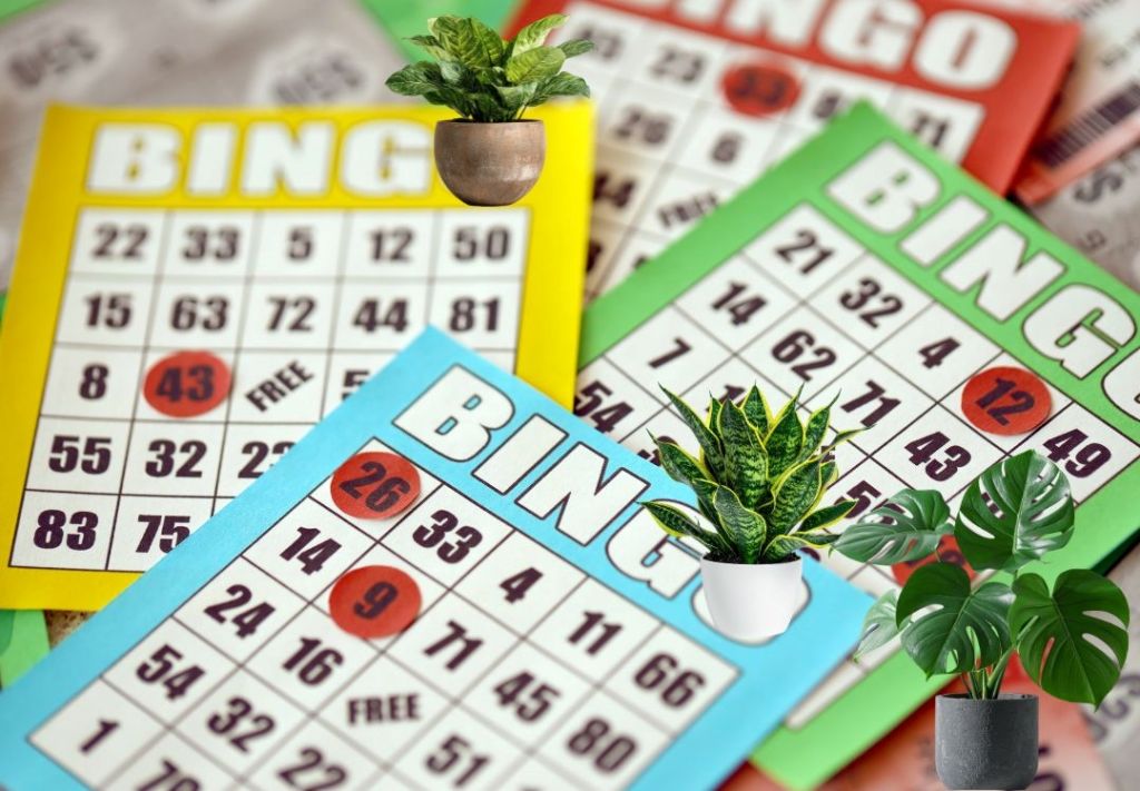 Bingo de plantas nativas en Zionsville, ¿Cuándo y dónde?