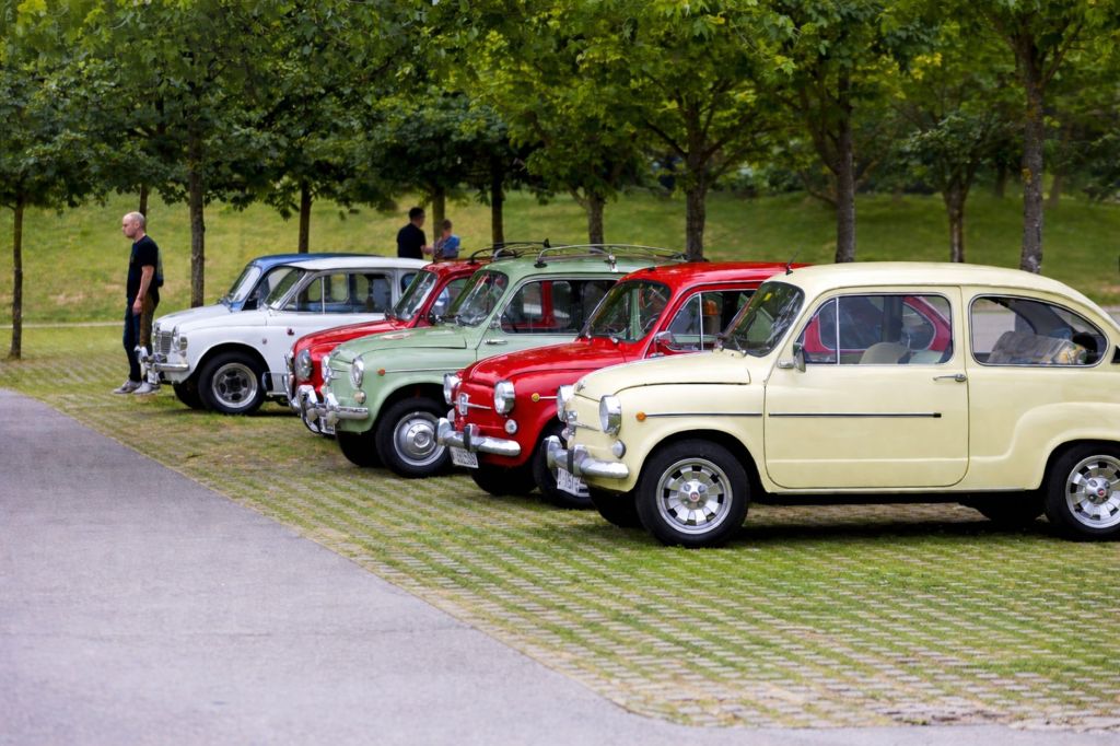 vintage cars displayed in outdoor park setting