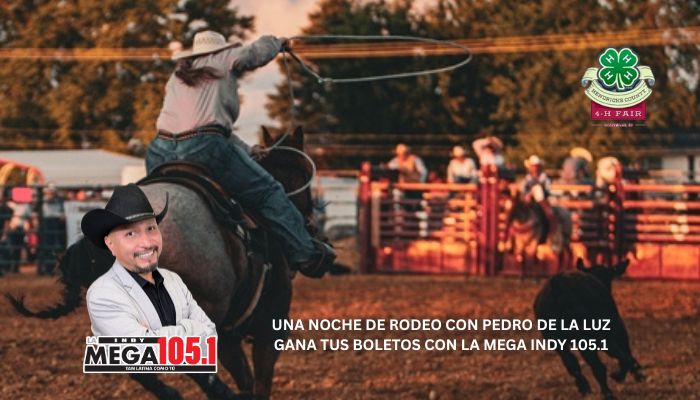 A cowboy riding a bucking bronco at a rodeo event, with a crowd of spectators visible in the background.