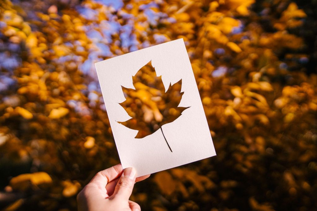 crop person with stencil of leaf
